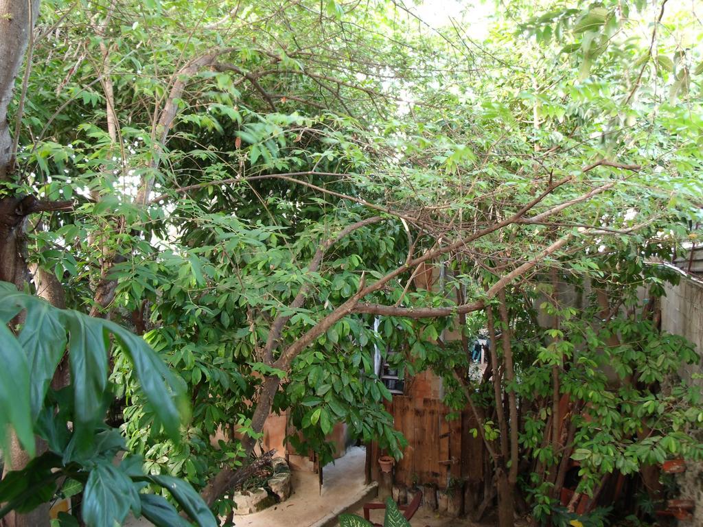 Casitas Kinsol Puerto Morelos Exterior foto