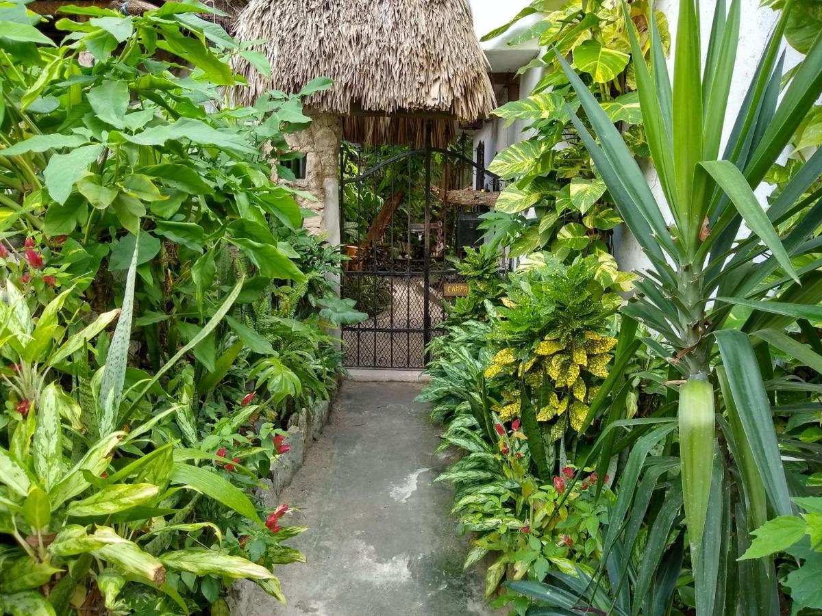Casitas Kinsol Puerto Morelos Exterior foto