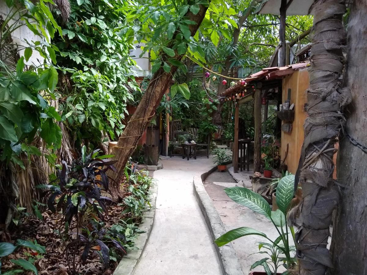 Casitas Kinsol Puerto Morelos Exterior foto